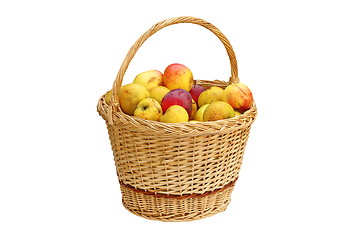 Image showing trellis basket full of bio apples