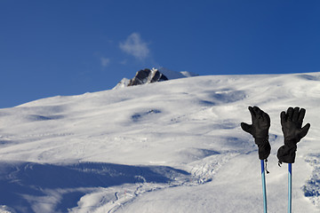 Image showing Gloves on ski poles at ski resort