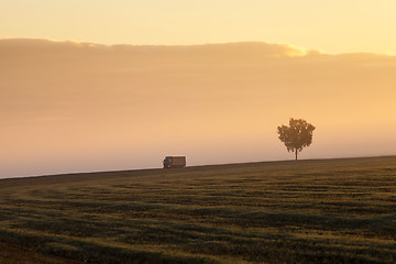 Image showing foggy morning .  sun 