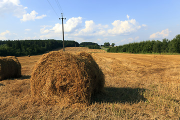 Image showing haystacks straw lying  