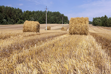 Image showing haystacks straw . summer