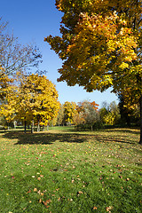 Image showing autumn forest. Belarus