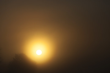 Image showing dawn sun .  fog 