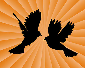 Image showing two flying birds