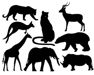 Image showing animals