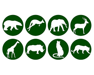 Image showing different wildlife animals
