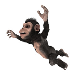 Image showing Little Chimp Jumping