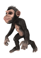 Image showing Little Chimp Walking