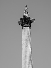 Image showing Black and white Nelson Column in London