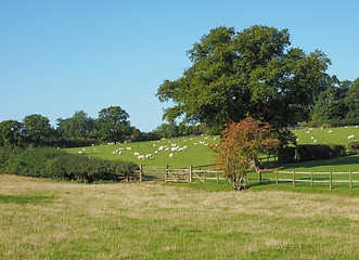 Image showing View of Tanworth in Arden