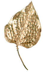 Image showing Christmas decorative golden leaves