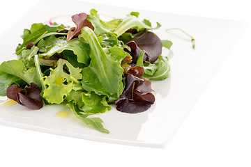 Image showing Fresh salad mix