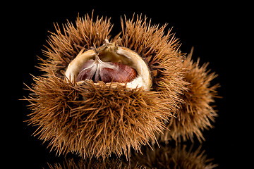 Image showing Chestnuts on a black reflective background