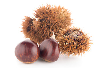 Image showing Chestnuts with shell 