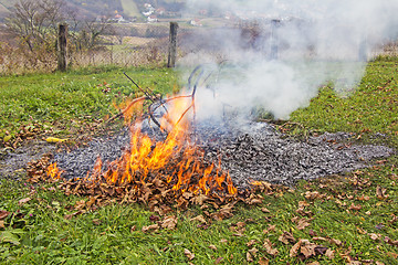 Image showing Burning of garden waste