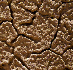 Image showing texture rock abstraoke  stone and lichens 