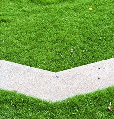 Image showing thailand asia    garden grass in the  bangkok  