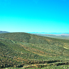 Image showing bush  in    valley  morocco     africa the atlas dry mountain  