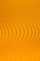 Image showing the brown   dune in the sahara morocco desert 