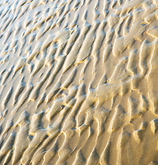 Image showing dune morocco in africa brown coastline wet sand beach near atlan