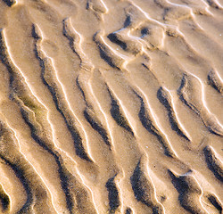 Image showing dune morocco in africa brown coastline wet sand beach near atlan