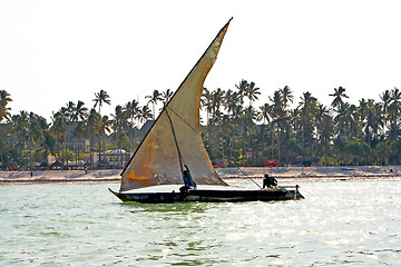 Image showing     zanzibar seaweed  indian ocean    and sailing