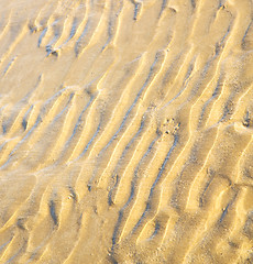 Image showing dune morocco in africa brown coastline wet sand beach near atlan