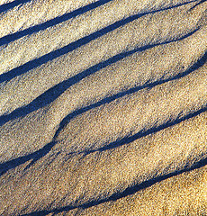 Image showing lanzarote spain  ground sand dry and lichens 