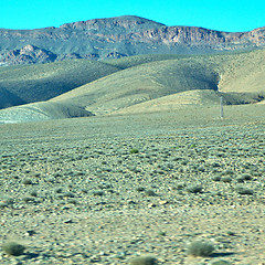 Image showing bush  in    valley  morocco     africa the atlas dry mountain  