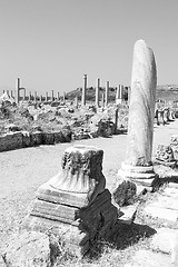 Image showing perge old construction in asia turkey the column  and the roman 