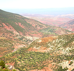 Image showing the    dades valley in atlas moroco africa ground tree  and nobo