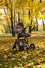 Image showing stroller.  autumn season