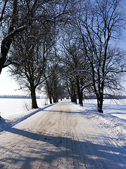 Image showing winter road .  roadside.
