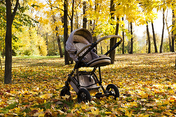 Image showing stroller.  autumn season