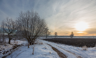 Image showing Wintertime sunset over meadow