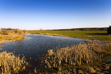 Image showing small lake  . summer 