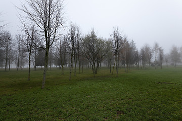 Image showing Autumn park .  morning