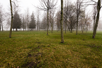 Image showing Autumn park .  morning