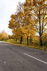 Image showing Autumn road . country 