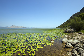 Image showing the lake .  Montenegro  