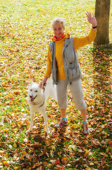 Image showing  Woman with dog walking on a sunny autumn day