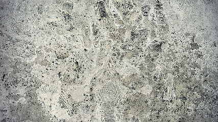 Image showing Stone texture with fossils