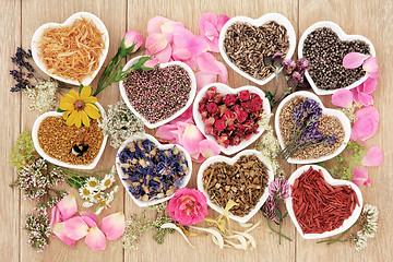 Image showing Healing Herbs and Flowers
