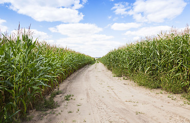 Image showing road in a field 