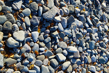 Image showing Stone on the shore of lake Ontario.