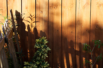 Image showing sun casting shadows on garden fence