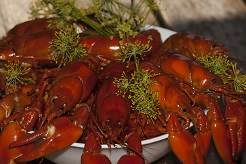 Image showing crayfish