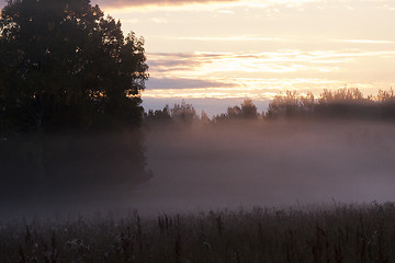 Image showing misty