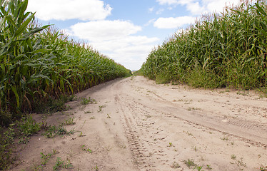 Image showing road in a field 