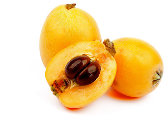 Image showing Loquat Medlar Fruit